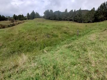 Venta Finca Lechera Santa Rosa de Osos Antioquia