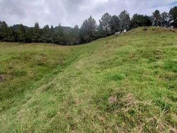 Venta Finca Lechera Santa Rosa de Osos Antioquia