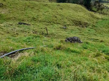 Venta Finca Lechera Santa Rosa de Osos Antioquia
