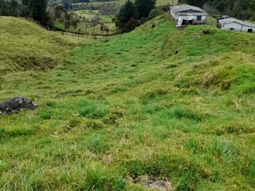 Venta Finca Lechera Santa Rosa de Osos Antioquia