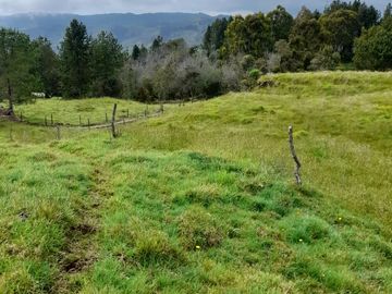 Venta Finca Lechera Santa Rosa de Osos Antioquia