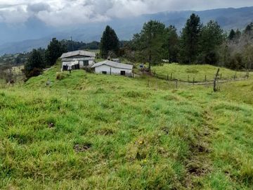 Venta Finca Lechera Santa Rosa de Osos Antioquia