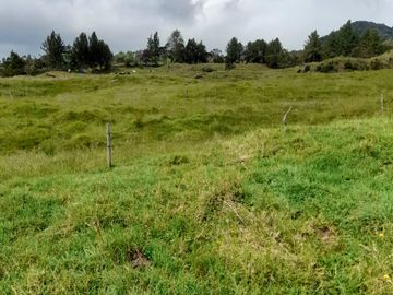 Venta Finca Lechera Santa Rosa de Osos Antioquia