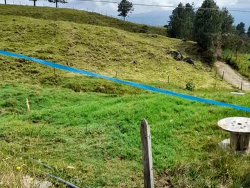 Venta Finca Lechera Santa Rosa de Osos Antioquia