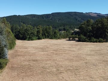 OPORTUNIDAD Se venden parcelas de 6.000m2 en Lipingue, Los Lagos DESDE $23.000.000