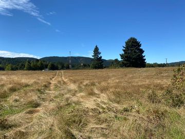 OPORTUNIDAD Se venden parcelas de 6.000m2 en Lipingue, Los Lagos DESDE $23.000.000