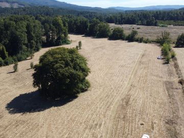 OPORTUNIDAD Se venden parcelas de 6.000m2 en Lipingue, Los Lagos DESDE $23.000.000