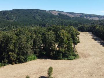 OPORTUNIDAD Se venden parcelas de 6.000m2 en Lipingue, Los Lagos DESDE $23.000.000
