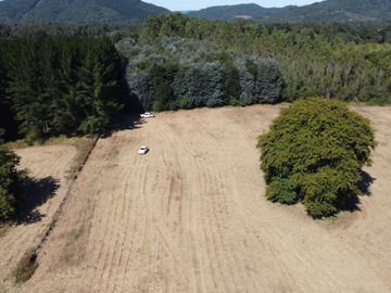 OPORTUNIDAD Se venden parcelas de 6.000m2 en Lipingue, Los Lagos DESDE $23.000.000