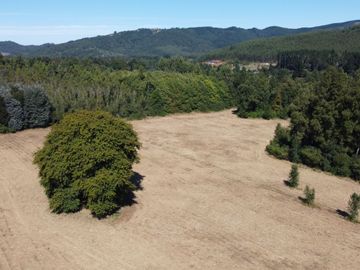 OPORTUNIDAD Se venden parcelas de 6.000m2 en Lipingue, Los Lagos DESDE $23.000.000