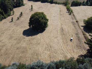 OPORTUNIDAD Se venden parcelas de 6.000m2 en Lipingue, Los Lagos DESDE $23.000.000