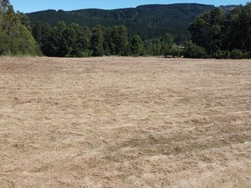 OPORTUNIDAD Se venden parcelas de 6.000m2 en Lipingue, Los Lagos DESDE $23.000.000