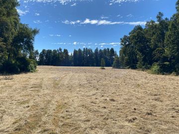 OPORTUNIDAD Se venden parcelas de 6.000m2 en Lipingue, Los Lagos DESDE $23.000.000