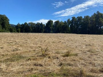 OPORTUNIDAD Se venden parcelas de 6.000m2 en Lipingue, Los Lagos DESDE $23.000.000