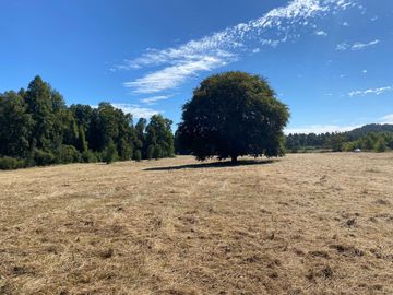 OPORTUNIDAD Se venden parcelas de 6.000m2 en Lipingue, Los Lagos DESDE $23.000.000
