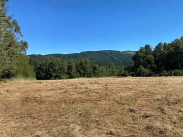 OPORTUNIDAD Se venden parcelas de 6.000m2 en Lipingue, Los Lagos DESDE $23.000.000