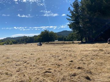 OPORTUNIDAD Se venden parcelas de 6.000m2 en Lipingue, Los Lagos DESDE $23.000.000