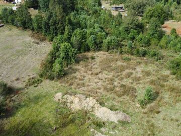 Se venden parcelas de 5.000m2 a 5 km de Lipingue, Los Lagos