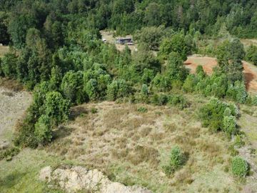 Se venden parcelas de 5.000m2 a 5 km de Lipingue, Los Lagos