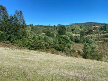Se venden parcelas de 5.000m2 a 5 km de Lipingue, Los Lagos