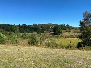Se venden parcelas de 5.000m2 a 5 km de Lipingue, Los Lagos