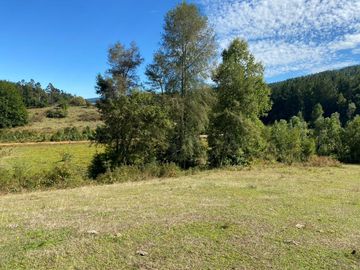 Se venden parcelas de 5.000m2 a 5 km de Lipingue, Los Lagos