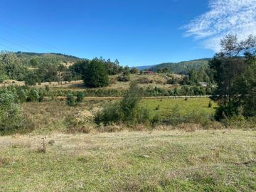 Se venden parcelas de 5.000m2 a 5 km de Lipingue, Los Lagos
