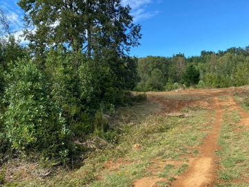 Se venden parcelas de 5.000m2 a 5 km de Lipingue, Los Lagos