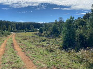 Se venden parcelas de 5.000m2 a 5 km de Lipingue, Los Lagos