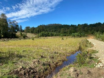 Se venden parcelas de 5.000m2 a 5 km de Lipingue, Los Lagos