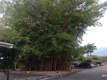 VENTA ACOGEDOR APTO CONDOMINIO CAMPESTRE - ALFAGUARA, JAMUNDI