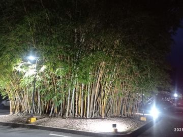 VENTA ACOGEDOR APTO CONDOMINIO CAMPESTRE - ALFAGUARA, JAMUNDI