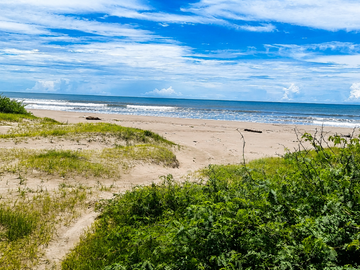 Derechos Adjudicatarios | 7 Terrenos Frente al Mar en Nayarit | 699.5 Ha