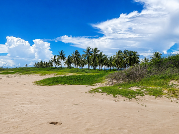 Derechos Adjudicatarios | 7 Terrenos Frente al Mar en Nayarit | 699.5 Ha