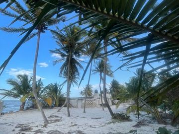 Terreno en venta frente a la playa en San crisanto Yucatán