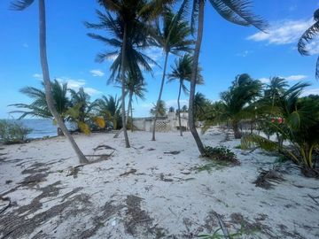 Terreno en venta frente a la playa en San crisanto Yucatán