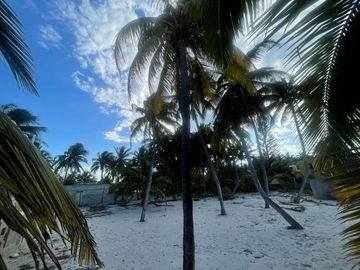 Terreno en venta frente a la playa en San crisanto Yucatán