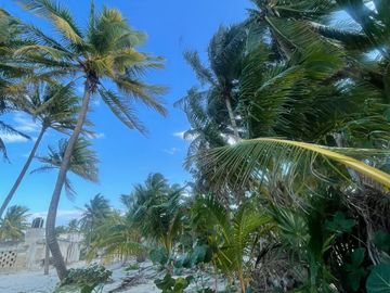 Terreno en venta frente a la playa en San crisanto Yucatán