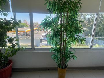 VENDO LINDO DEPARTAMENTO LUMINOSO 3D 2B EN HUECHURABA. SECTOR EL SAUCE