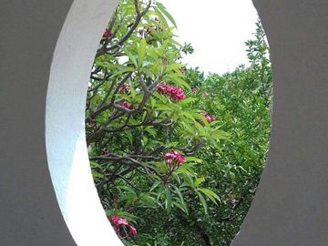 Se vende Casa de campo / Huerta en Coahuixtla, Morelos!!