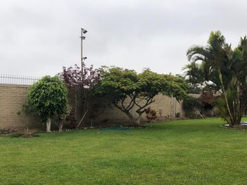 🍇 DISFRUTA DEL CAMPO CON PISCINA PRIVADA Y HUERTO PROPIO EN SUNAMPE 🏡