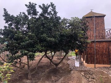 🍇 DISFRUTA DEL CAMPO CON PISCINA PRIVADA Y HUERTO PROPIO EN SUNAMPE 🏡