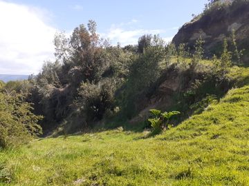 Oportunidad para los amantes de la pesca y deportes acuáticos, acceso directo al Río, muelle propio, agua (APR), luz