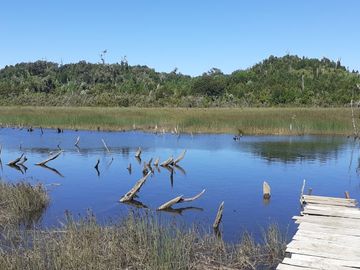 Oportunidad para los amantes de la pesca y deportes acuáticos, acceso directo al Río, muelle propio, agua (APR), luz