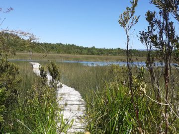 Oportunidad para los amantes de la pesca y deportes acuáticos, acceso directo al Río, muelle propio, agua (APR), luz