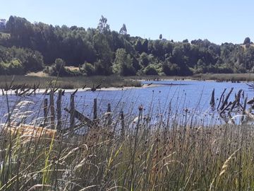 Oportunidad para los amantes de la pesca y deportes acuáticos, acceso directo al Río, muelle propio, agua (APR), luz