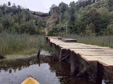 Oportunidad para los amantes de la pesca y deportes acuáticos, acceso directo al Río, muelle propio, agua (APR), luz