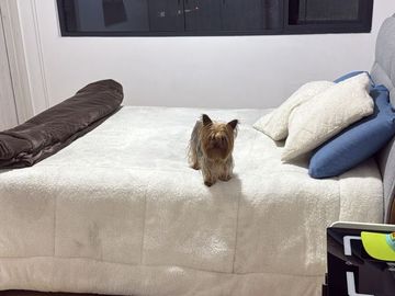 DEPARTAMENTO EN VENTA SECTOR EL BATAN ENTRE AV. 6 DE DICIEMBRE Y AV. ELOY ALFARO
