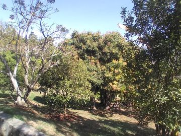 Venta hermosa casa finca, Vereda Portachuelo, Girardota Antioquia.