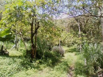 Venta hermosa Casa Finca, vereda Montañita, Copacabana.